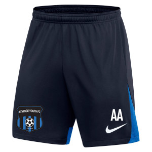 Nike Dri-FIT Academy Pro Shorts