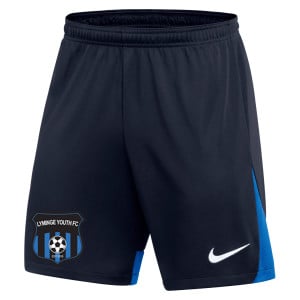 Nike Dri-FIT Academy Pro Shorts