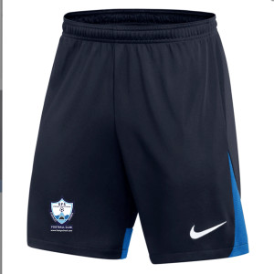 Nike Dri-FIT Academy Pro Shorts