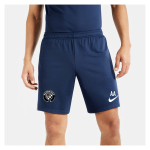 Nike Dri-FIT Academy Pro Shorts Obsidian-Royal Blue-White