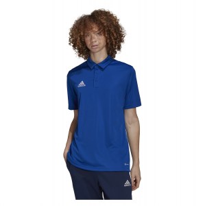 adidas Entrada 22 Polo