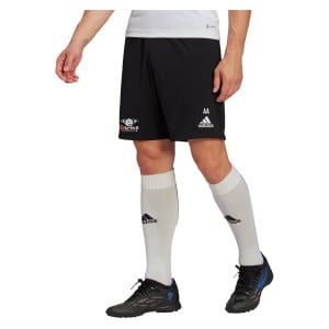 adidas Entrada 22 Training Shorts