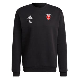 adidas Entrada 22 Sweatshirt