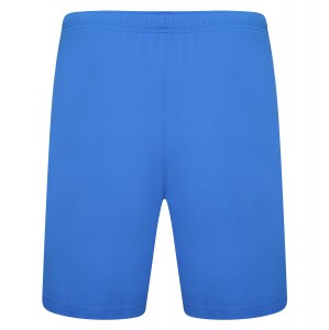 Puma teamRISE Shorts