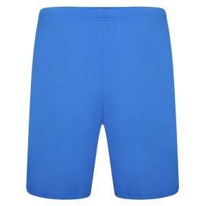 Puma teamRISE Shorts