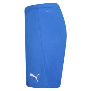 Puma teamRISE Shorts