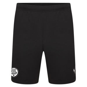 Puma teamRISE Shorts