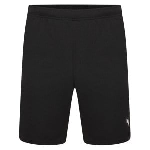 Puma teamRISE Shorts