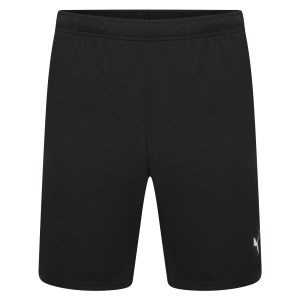 Puma teamRISE Shorts