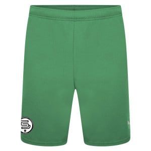 Puma teamRISE Shorts Pepper Green-Puma White