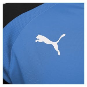 Puma teamLIGA Training 1/4 Zip Top