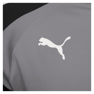 Puma teamLIGA Training 1/4 Zip Top