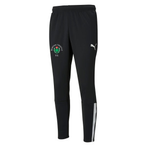 Puma teamLIGA Training Pants