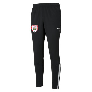 Puma teamLIGA Training Pants