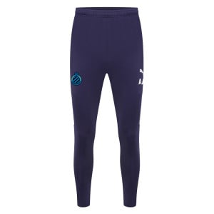 Puma teamLIGA Training Pro Pants