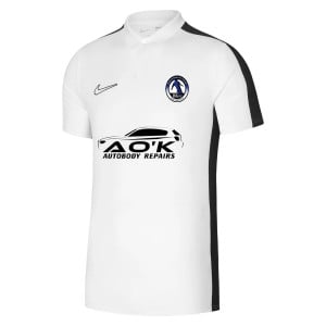 Nike Dri-Fit Academy 23 Polo