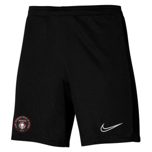 Nike Dri-Fit Academy 23 Short