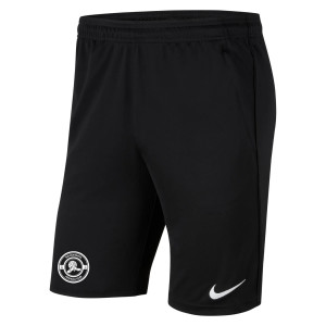 Nike Dri-Fit Academy 23 Short