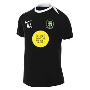 Nike Academy Pro 24 Dri-FIT Short Sleeve Top