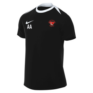 Nike Academy Pro 24 Dri-FIT Short Sleeve Top