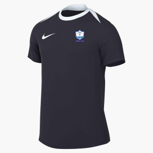 Nike Academy Pro 24 Dri-FIT Short Sleeve Top