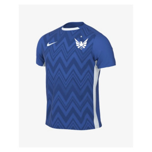 Nike Dri-FIT Challenge V Jersey