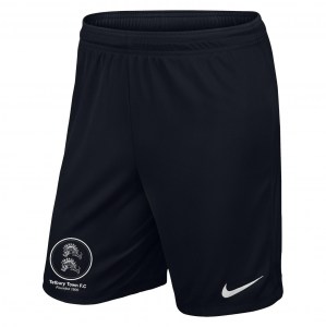 Nike Park II Knit Short