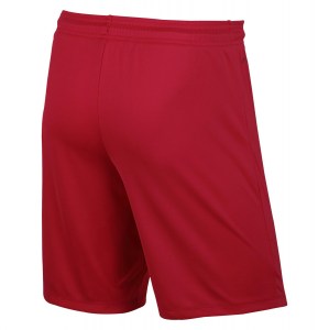 Nike Park II Knit Short