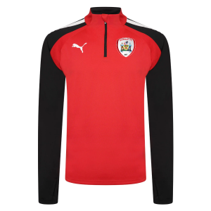 Puma teamLIGA Training 1/4 Zip Top