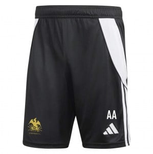 adidas Tiro 24 Training Shorts - black/white