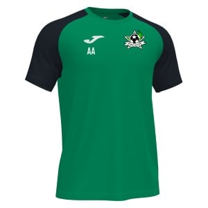 Joma Academy IV Short Sleeve Shirt (M) - Green/Black