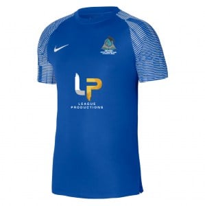 Nike Academy Short Sleeve Jersey - Royal Blue/White/White
