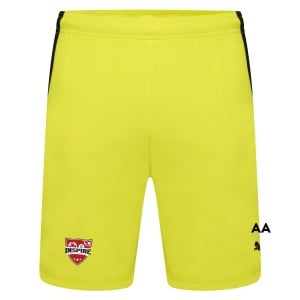 Puma teamLIGA Short - Yellow Alert/Black