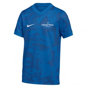 Nike Dri-FIT Precision VII Jersey - Royal Blue/Obsidian/Obsidian/White