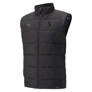 Puma teamLIGA Vest - Black