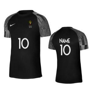 Nike Academy Short Sleeve Jersey